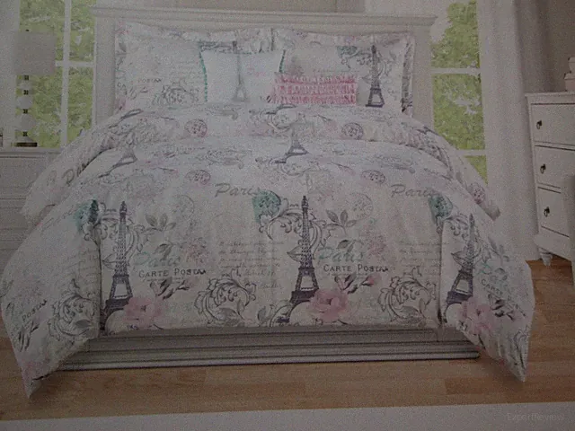 2 pc Envogue PARIS Eiffel Tower Rose Twin Duvet Set ~ Grey, Aqua, Pink, Lavender