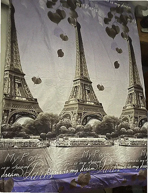 Beautiful Paris Eiffel Tower Duvet Cover Purple & Grey Twin
