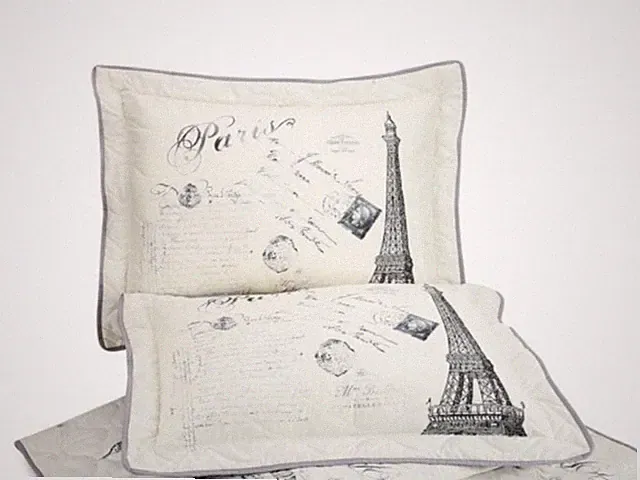 Mainstays Paris Eiffel Tower France 1 KING Sham Pillowcase Cream Black 24" x 40"