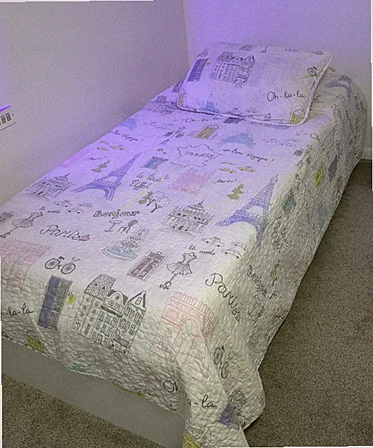 Paris Eiffel Tower Oh-La-La Coverlet Bed Cover Quilt Sham Set Twin