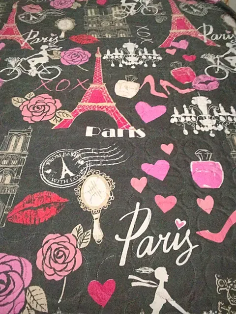 Paris France Double Sided Gray, Pink, White Bedspread Comforter 76" X 84" Twin